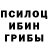 Псилоцибиновые грибы Magic Shrooms BUNAID Bro