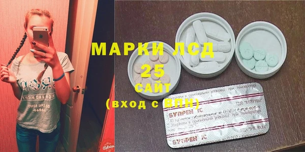индика Белоозёрский