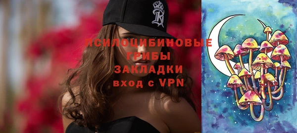 индика Белоозёрский