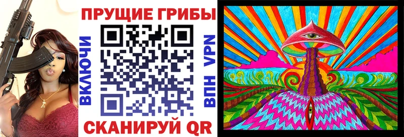 Галлюциногенные грибы Magic Shrooms  наркошоп  Заводоуковск 